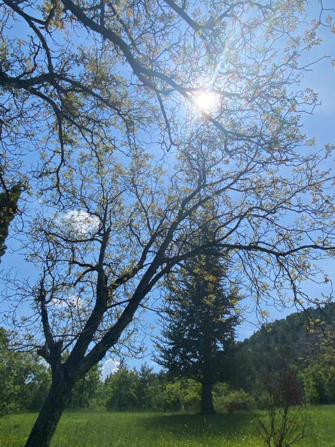 Вилла La Genevraie Гап Экстерьер фото